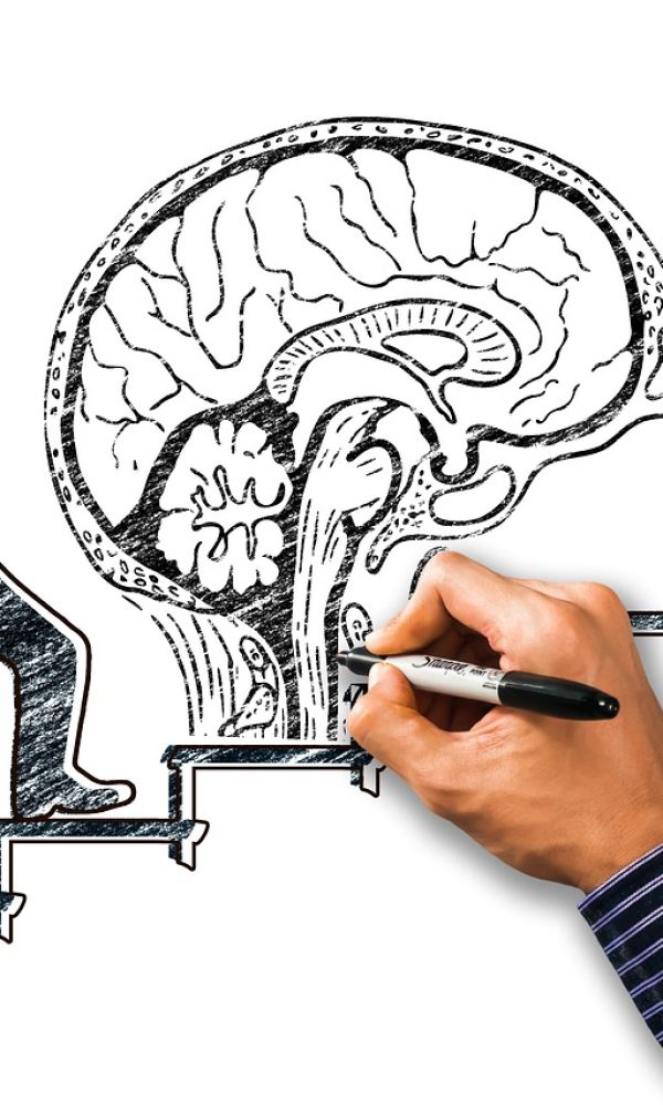 brain, training, silhouette-7803655.jpg